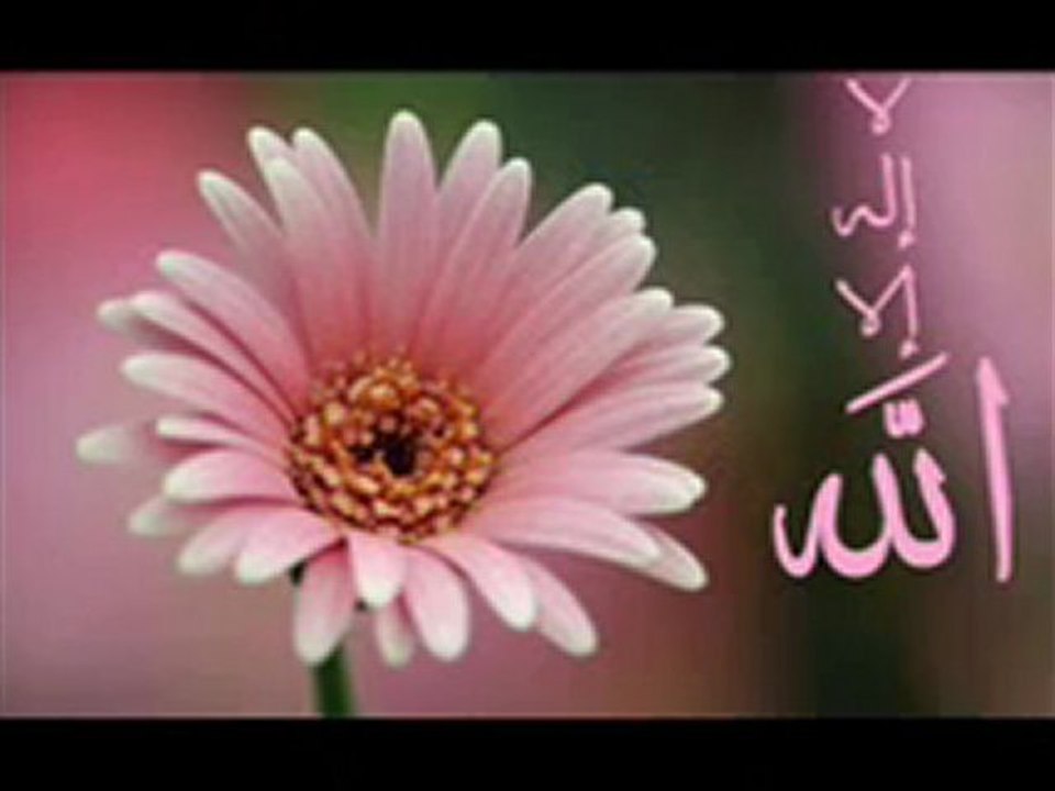 8 SURATS FATHIA WAQIYA KAFIROON IKHLAS FALAQ NAS KUSAR ANSR .