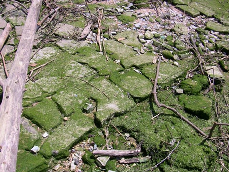 Port de Bayonne mai 2012 sur 3 chansons de Maurice Fanon