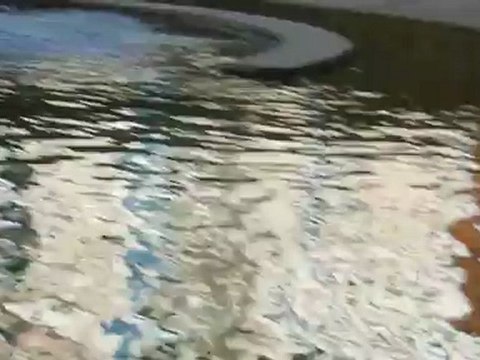 termaltatili organizasyon danışmanı : 0533 031 25 50