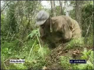 Les agriculteurs congolais bénéficient-ils de l’appui du fonds de soutien à l’agriculture ?
