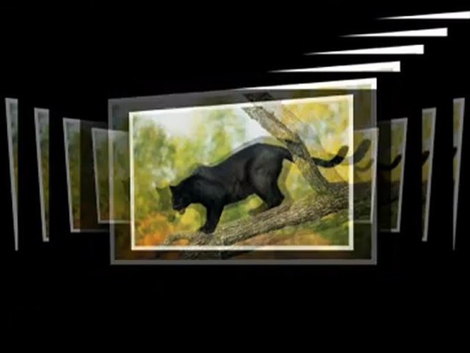 Mindfucker & Jecepin creations - Panther mp4