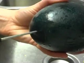Bonnie Blowing an Emu Egg