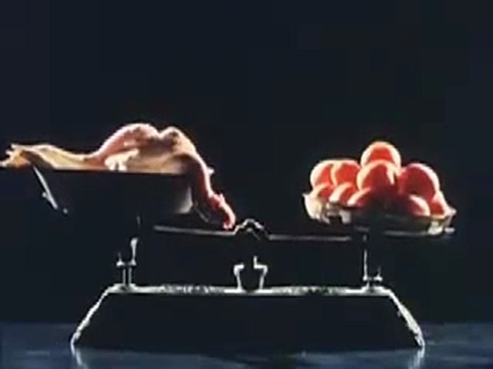 L'Île aux fleurs (FR)