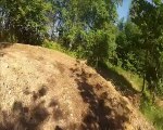 go pro mx treem mx