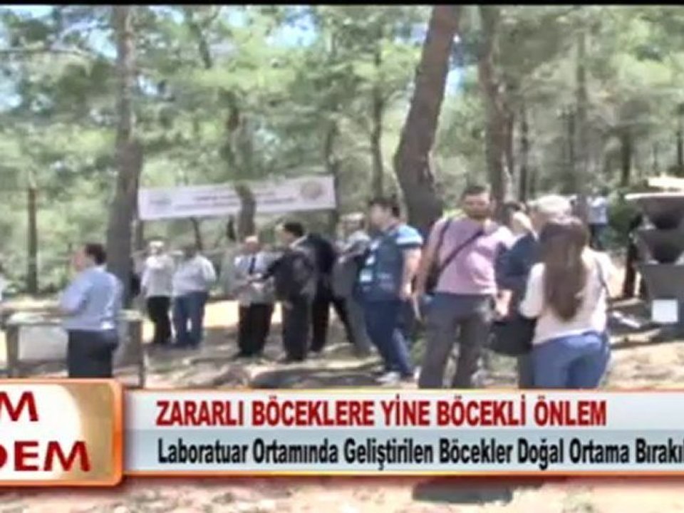 ZARARLI BÖCEKLERE YİNE BÖCEKLİ ÖNLEM