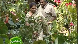 Success story of a farmer with multi enterprise farming - Ornamentals,fruits,poultry,and spices