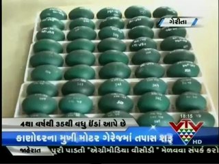 VTV GUJARATI - KHETI , EMU FARMING PART 2