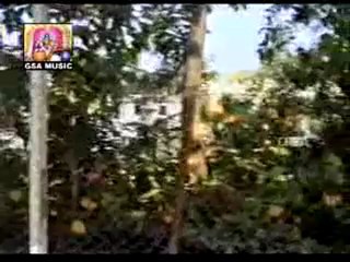 Goddess Of Education  Basara Saraswathi Temple (Telangana, India) - YouTube