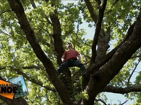PROCHAINE SÉANCE JE FAIS FEU DE TOUT BOIS