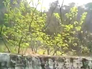 M13 Life Update - Feb 23 2011