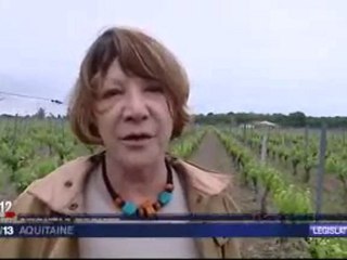 33 - 11ème circonscription de la Gironde