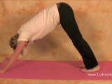 Downward Facing Dog Yoga Pose - Yoga Pose of the Day