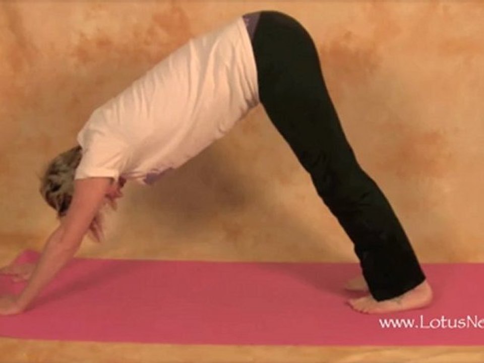 Downward Facing Dog Yoga Pose - Yoga Pose of the Day