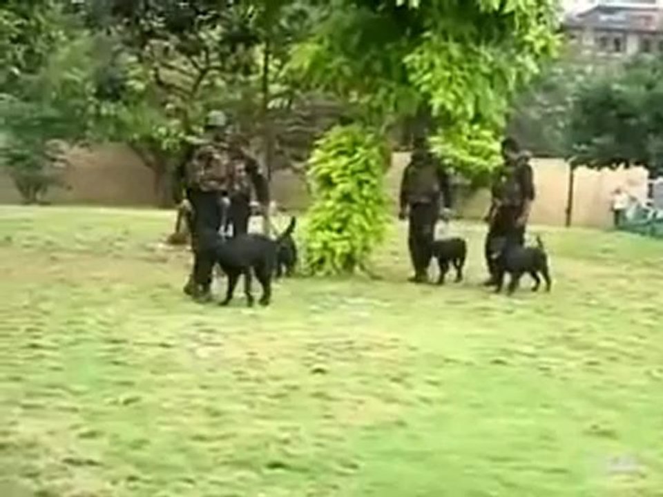 Las fuerzas armadas indias abaten a los últimos terroristas