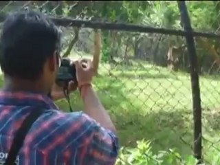 Zoo k andar fas gaya sikander - YouTube