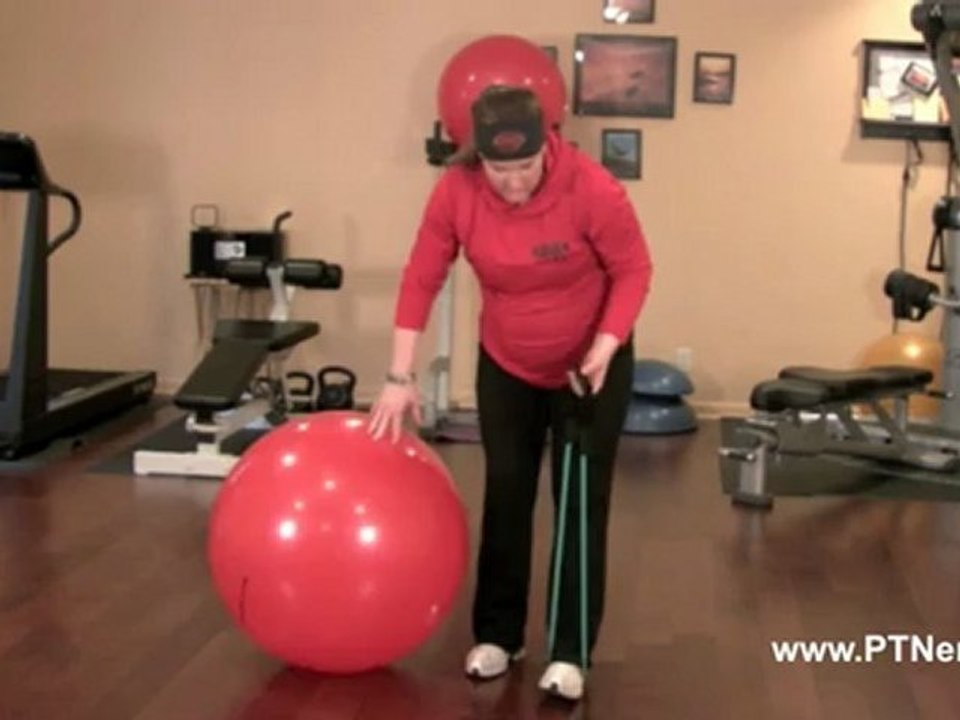 Frontal Raises with a Single Leg Raise on Stability Ball - Personal Training Exercise of the Day