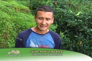 26 MAYO 2012 ica aguacate web (1)