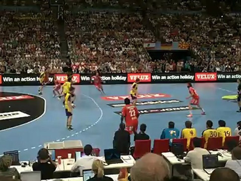 Kung-Fu danois en zone