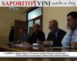 Reggio Calabria, il Pd accusa la dirigente Fallara di incarichi esterni