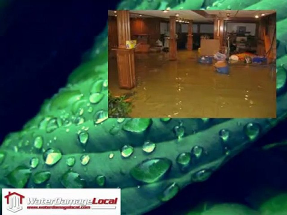 Lindon Flood Clean Up