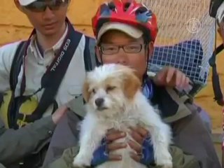 Бездомный пёс бежал за велосипедистами 3 недели