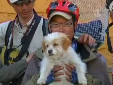 Бездомный пёс бежал за велосипедистами 3 недели