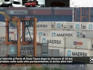Porti: Gioia Tauro, arrivate altre otto navi