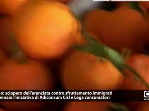 Rosarno: contro sfruttamento immigrati sciopero aranciata