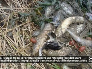 Crotone. Pesca di frodo, la Forestale recupera una rete nella foce dell’Esaro