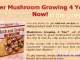 growing button mushrooms - guide growing mushrooms - growing edible mushrooms