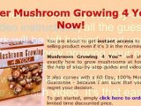 growing button mushrooms - guide growing mushrooms - growing edible mushrooms