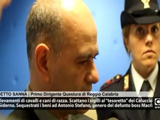 Villa, allevamenti di cavalli e cani di razza. Scattano i sigilli al “tesoretto” dei Coluccio