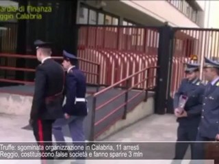 Truffa, usura e riciclaggio, 11 arrestati nel reggino. In manette il genero del boss