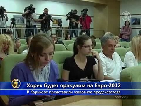 Хорек Фред предскажет победителей на Евро 2012