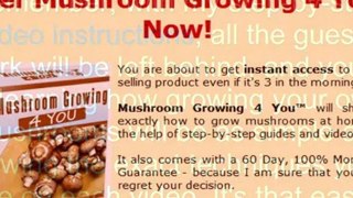 grow mushroom kit - buy mushroom spores - purchase mushroom spores