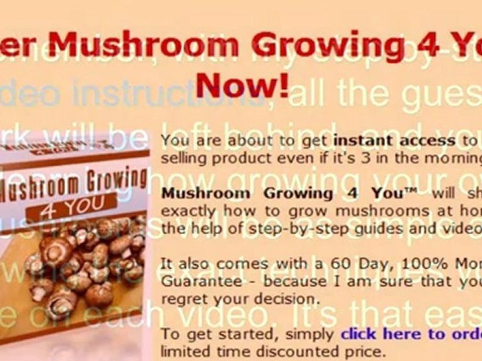 grow mushroom kit - buy mushroom spores - purchase mushroom spores