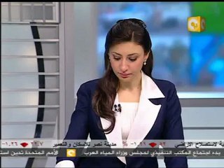 بالم هيلز تطعن على حكم بطلان عقد بيع أرض القطامية