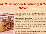 mushroom cultivation in home - mushroom farming at home - mushrooms farming