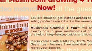 mushroom cultivation in home - mushroom farming at home - mushrooms farming