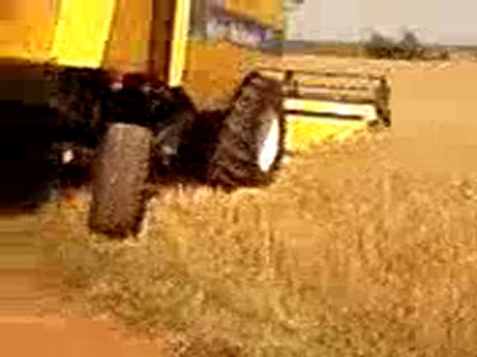 Video-0005