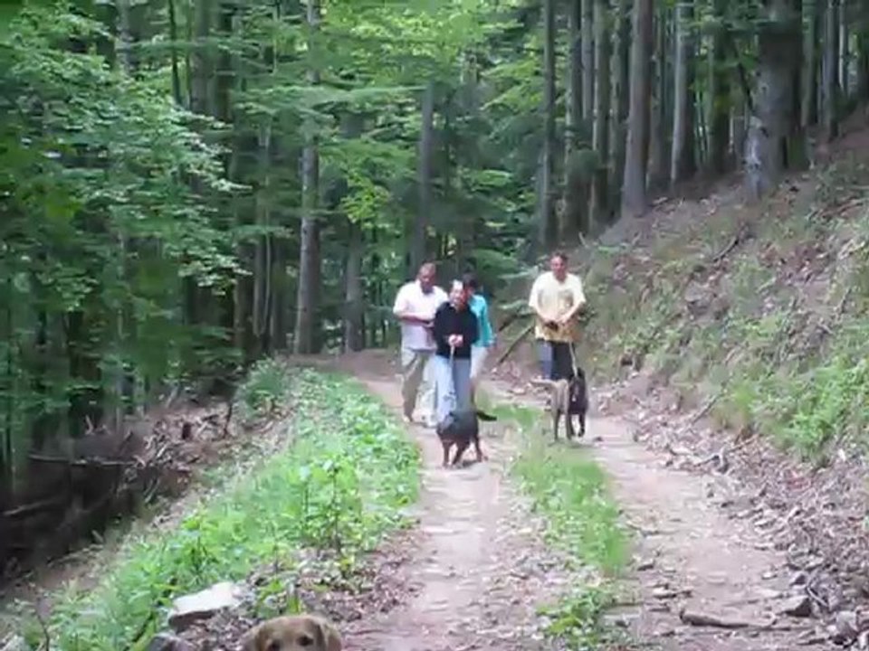 Rando 4