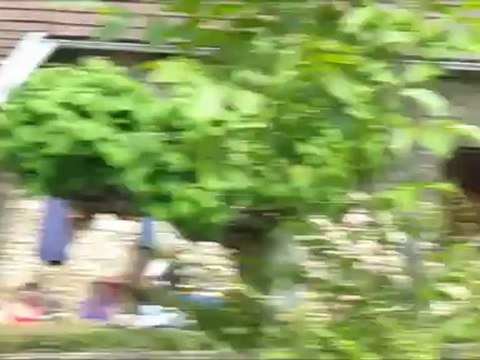 Course de côte de Chanaz 2012 - 1ère montée essai libre - Catégorie OPEN