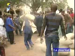 JT TCHAD FRANCAIS DU 29 MAI 2012 SUR TOL