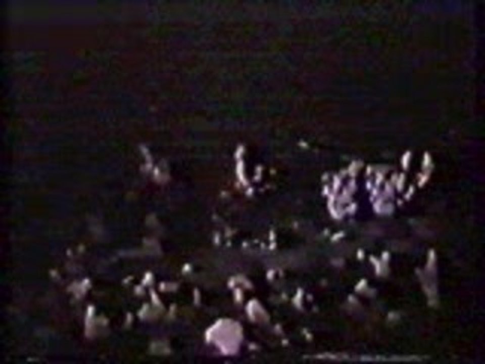 Misfits - We Are 138(Live 1982 )