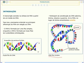 Vídeo Aula Ácidos Nucléicos - Veja mais em: http://www.estudandodecasa.blogspot.com.br/