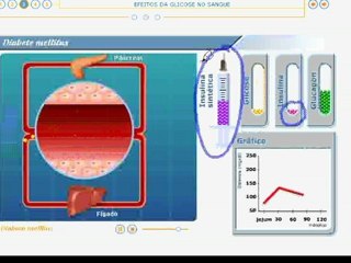 Vídeo Aula sobre o Sistema Endócrino - Veja mais em: http://www.estudandodecasa.blogspot.com.br/