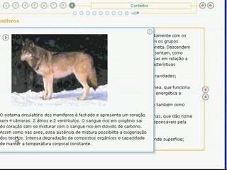 Vídeo Aula Circulação nos Cordados Vertebrados - Veja mais em: http://www.estudandodecasa.blogspot.com.br/