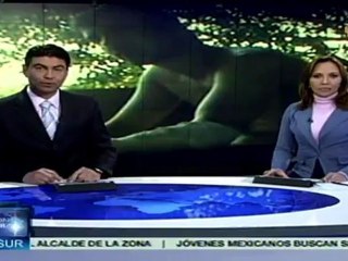 Misión humanitaria para liberación de Langlois en Florencia