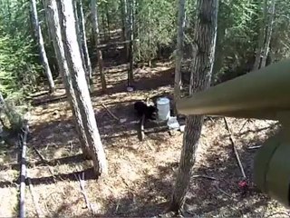 Bear Week: Black Bear Hunting in the North Country