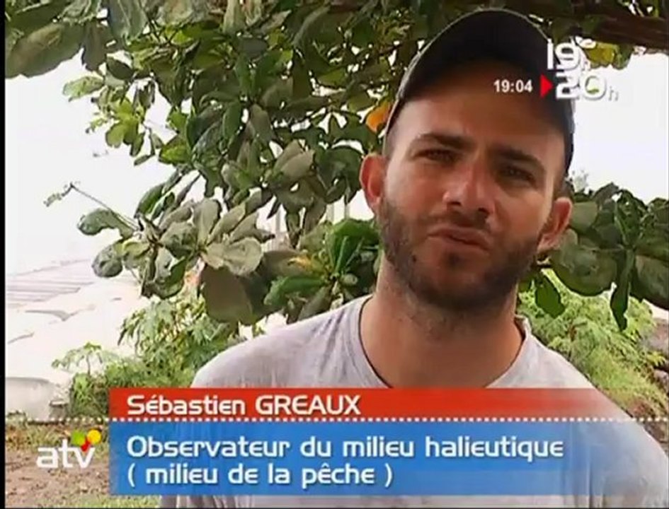 Mouillage de DCP géolocalisables au large de la Martinique